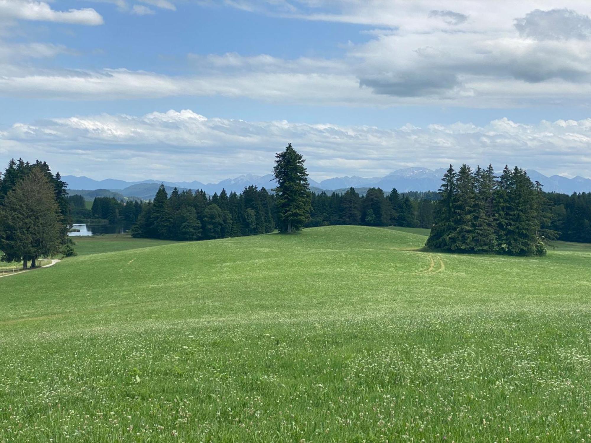 "Allgaeu-Herzl" Alpenchalet Fuer Zwei Ruckholz Exteriör bild